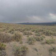 MonoBasin 100 : MonoBasin